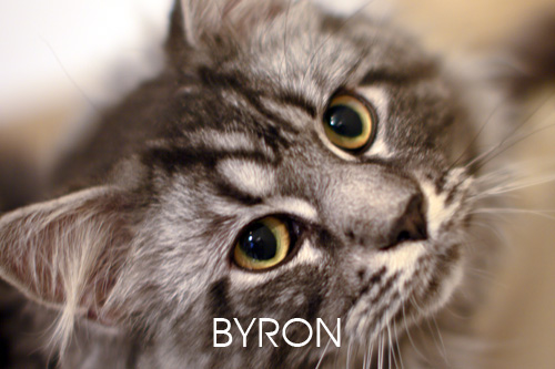 foto Byron