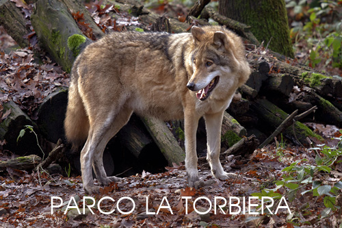 foto fauna parco Torbiera