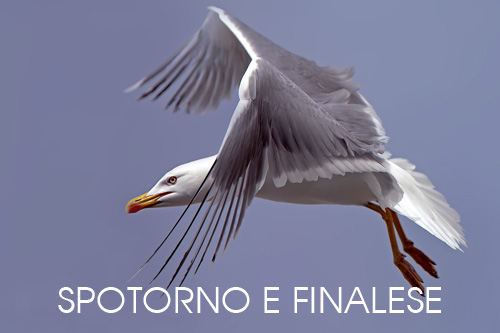 foto fauna Spotorno Finalese