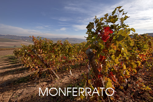 foto paesaggi Monferrato
