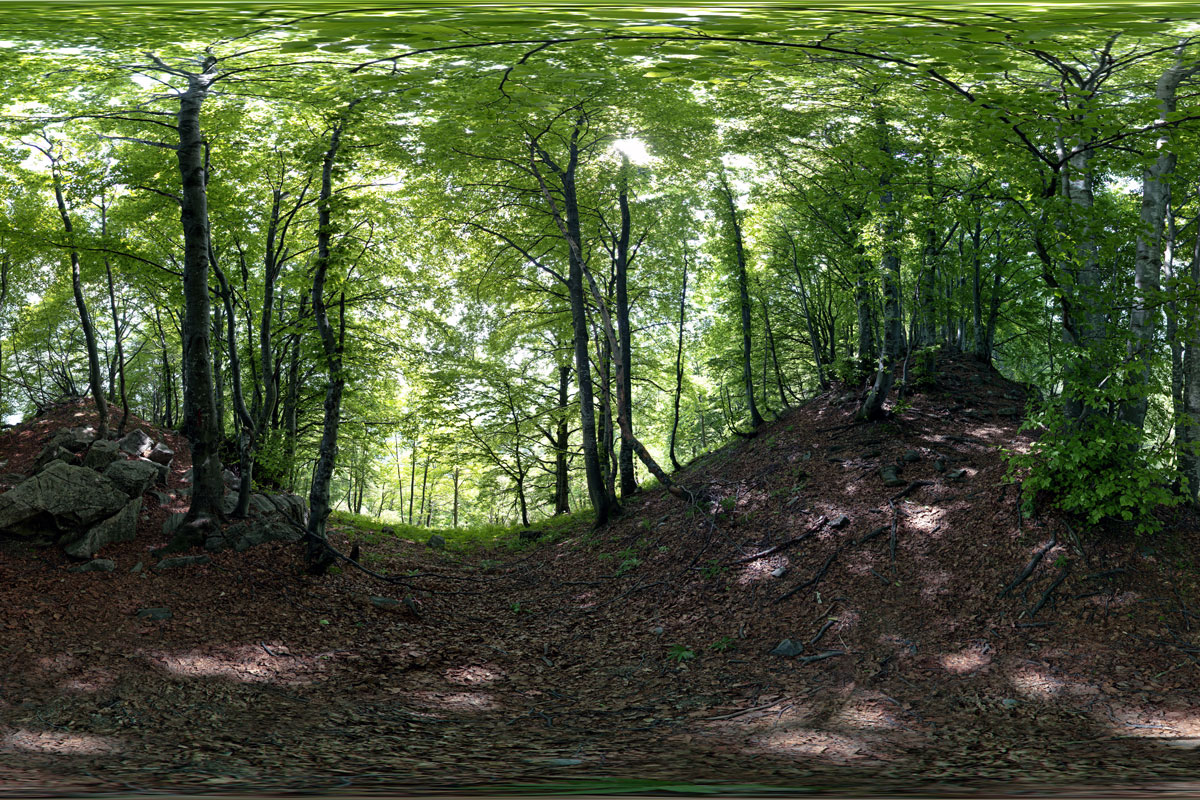 fotografia panoramica immersiva