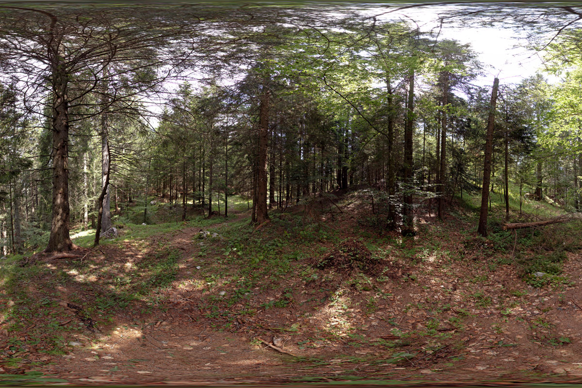 fotografia panoramica immersiva