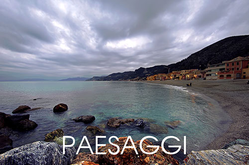 Paesaggi